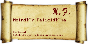 Molnár Feliciána névjegykártya