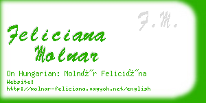 feliciana molnar business card